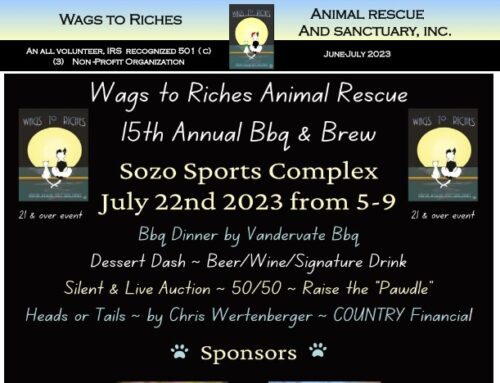 Wags to Riches Newsletter June-July 2023