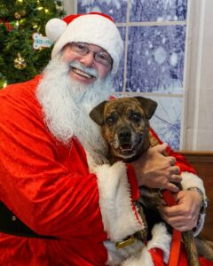 Pictures with Santa & The Grinch