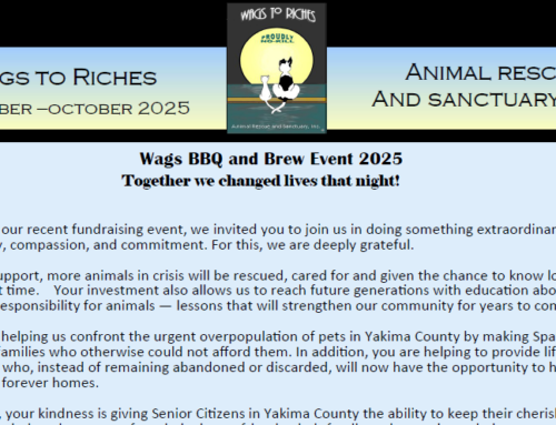 Wags to Riches Newsletter – Sept. Oct. 2025