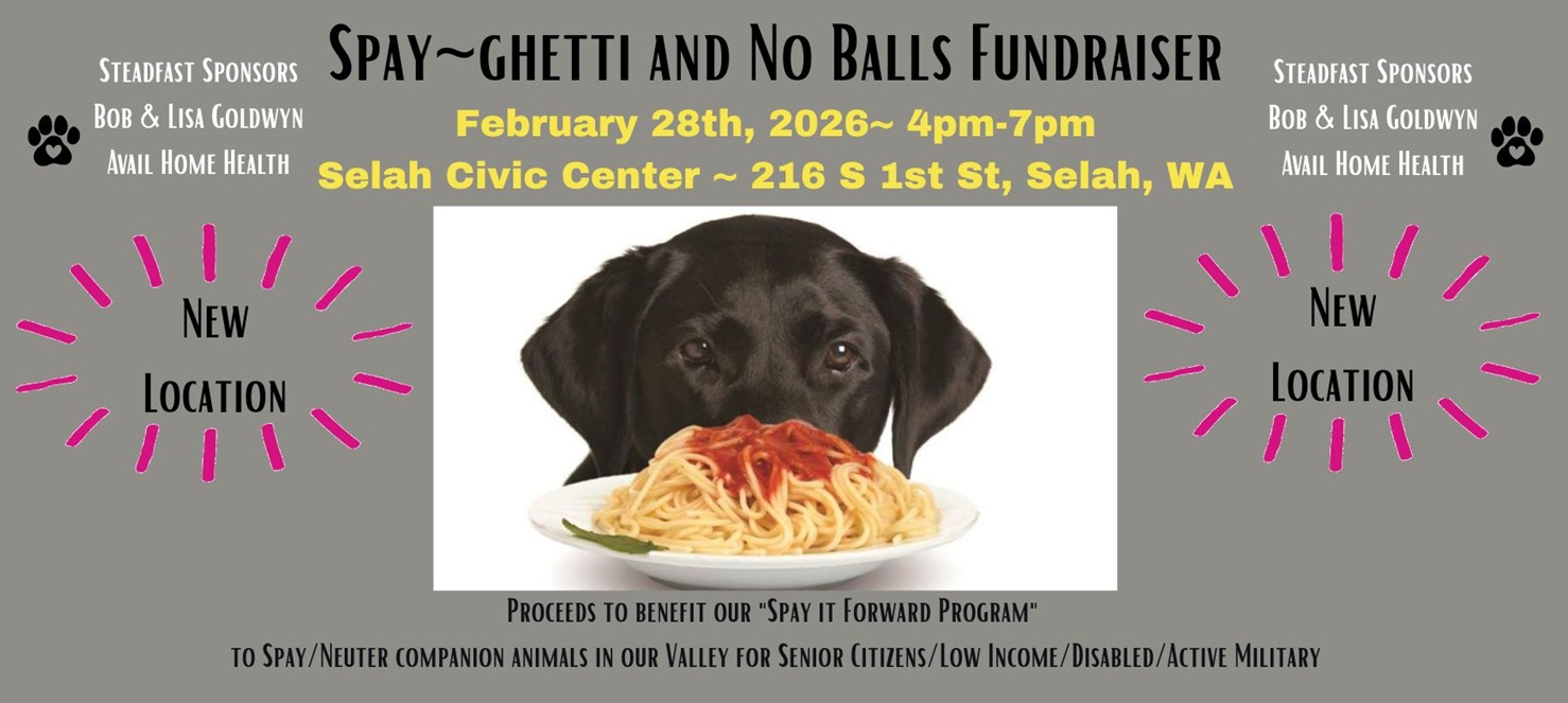Spay~ghetti, No Balls fundraiser 2026