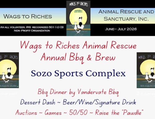 Wags to Riches Newsletter – June-July 2026